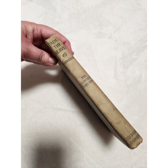 Adventures of Paddy the Beaver - 1917 Hardcover Edition - Picture 2 of 7